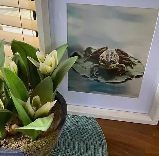The Lily Pad Boatel Houseboat *